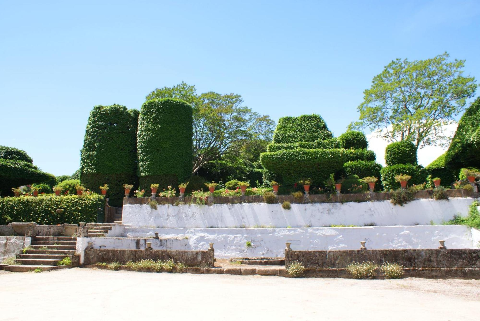セロリコ・デ・バスト Casa Do Campo - Turismo De Habitacao Bed & Breakfast エクステリア 写真